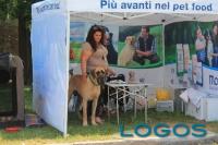 Cuggiono - Campionato Alani 2014.02