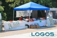 Cuggiono - Campionato Alani 2014.01