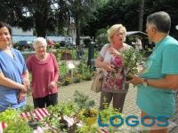 Castano Primo - Il giardino sensoriale3