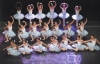 Castano Primo - Saggio di danza scuola 'Tersicore' (Foto Tamburini - Rapid Center)