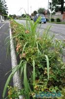 Arconate - Alcune zone del paese