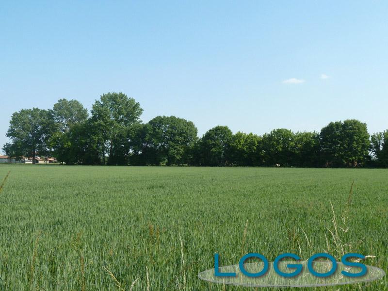 Territorio - Campagna Territorio - Campagna