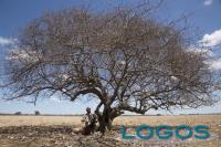 Eventi - 'Agenda Brasil 2014'