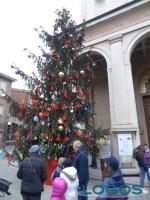 Inveruno - L'albero di Natale 2014.03