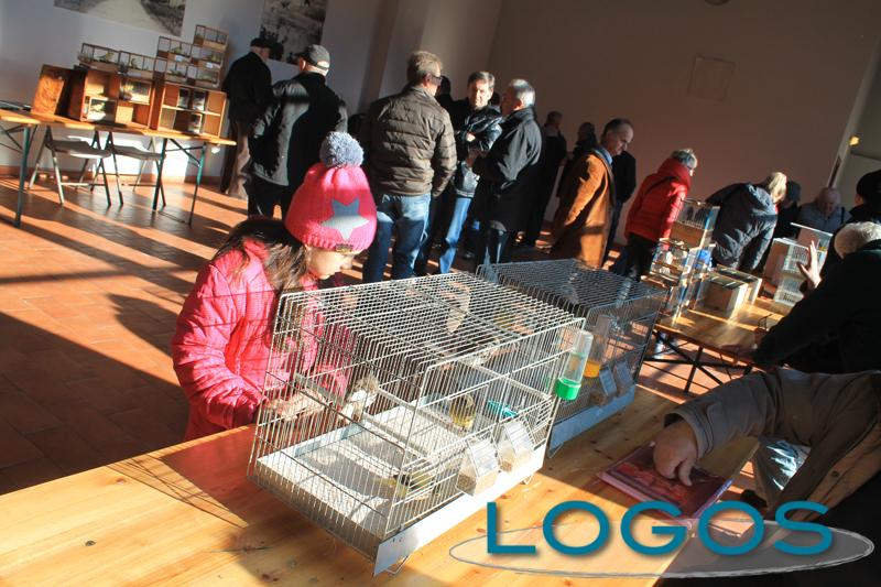 Cuggiono, Eventi