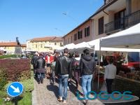 Inveruno - Fiera di Sant'Angelo 2015.01