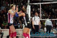 Sport - Igor Novara - Piacenza - 2015.01