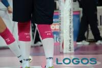 Sport - Novara - Piacenza - 2015.01