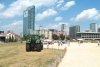 Milano - Un campo di grano tra i palazzi di Porta Nuova