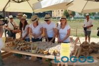 Milano - Raccolta al campo di grano.03