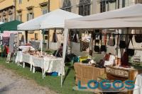 Cuggiono - Campionato Alani 2015.02