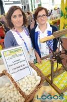 Expo - Coldiretti, nuovi lavori in agricoltura