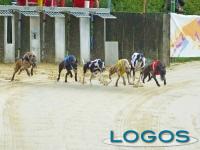 Castano Primo - Un momento della gara