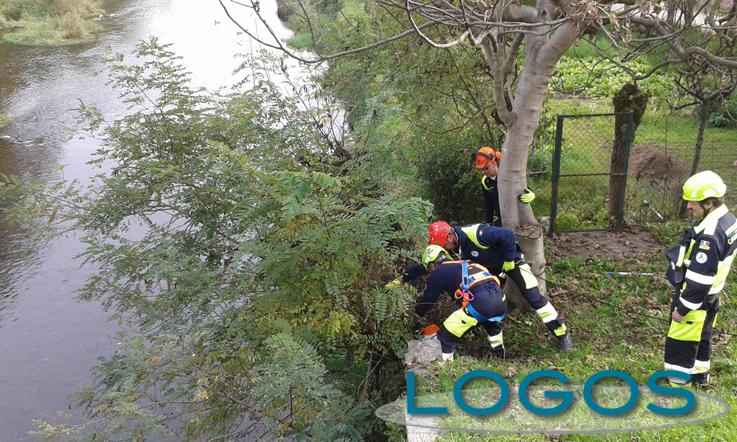 Castano Primo - Lavori di pulizia e manutenzione sullo storico ponte