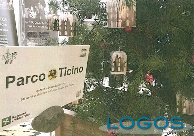 Attualità - L'albero di Natale al Pirellone