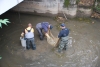 Territorio - Asciutta dei Navigli, si recuperano i pesci