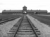 Generica - Auschwitz - Birkenau
