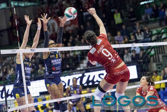 Busto Arsizio, Sport locale