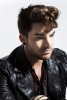 Musica - Adam Lambert