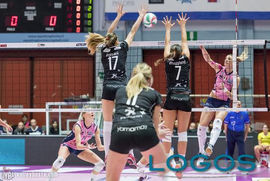 Busto Arsizio, Sport locale