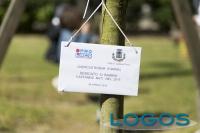 Castano Primo - Un albero per i nati nel 2015