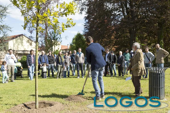 Castano Primo - Un albero per ogni nato nel 2015 (Foto Eliuz Photography)
