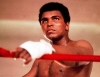 Sport - Muhammad Ali (Foto interne)