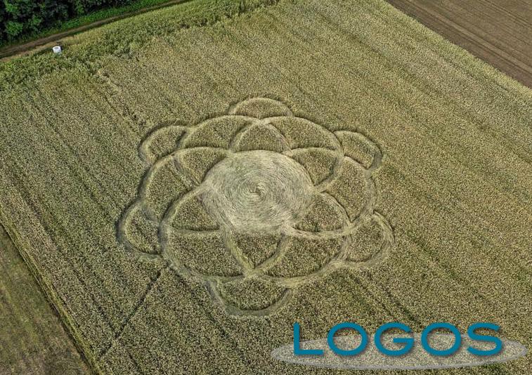 Vanzaghello - Cerchi nel grano, foto di Stefano Pizzeghello