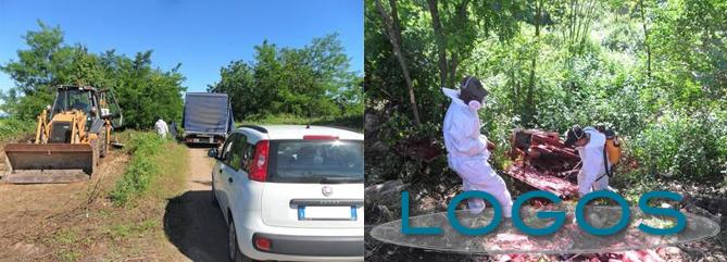 Castano Primo - Discariche abusive di eternit Castano Primo - Discariche abusive di eternit