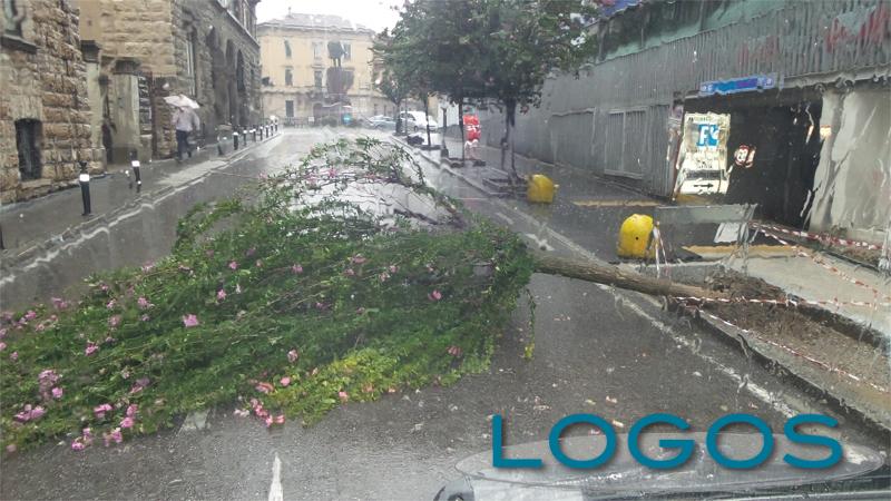 Attualità - Maltempo (Foto internet)