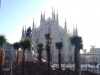 Attualità - Le palme in piazza Duomo a Milano