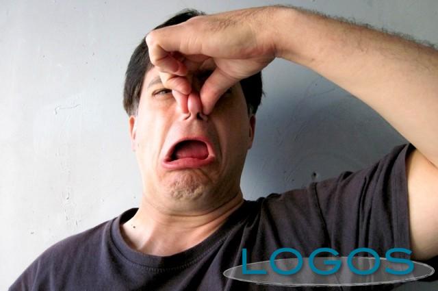 Attualità - Odori nell'aria (Foto internet)