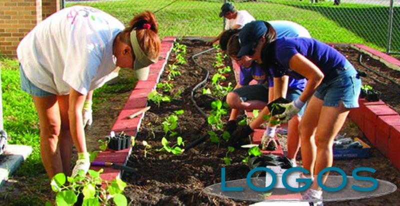 Attualità - Orti cittadini (Foto internet)