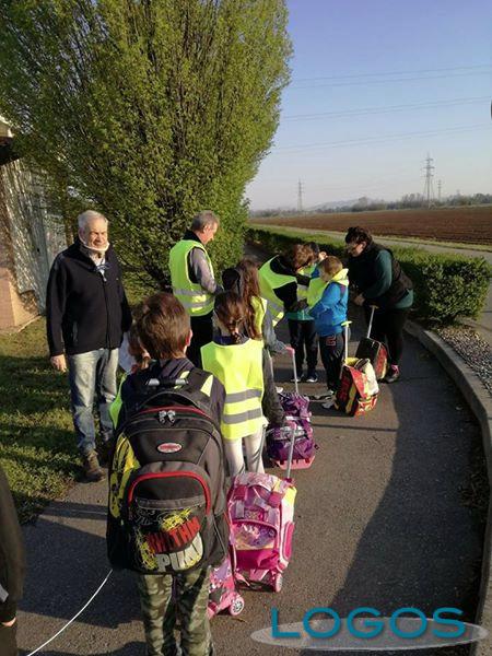 Robecchetto - Pedibus