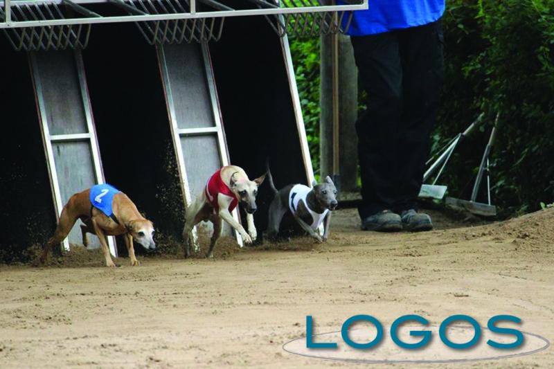 Castano Primo - Lionello durante una gara Castano Primo - Lionello durante una gara