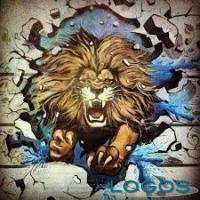 Storie - "GoFedericoGo"