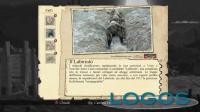 Valiant Hearts - oggetti