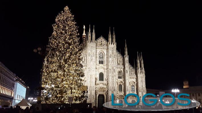 Attualità - L'albero di Natale in piazza Duomo 
