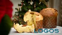 Sapori - Panettone (Foto internet)