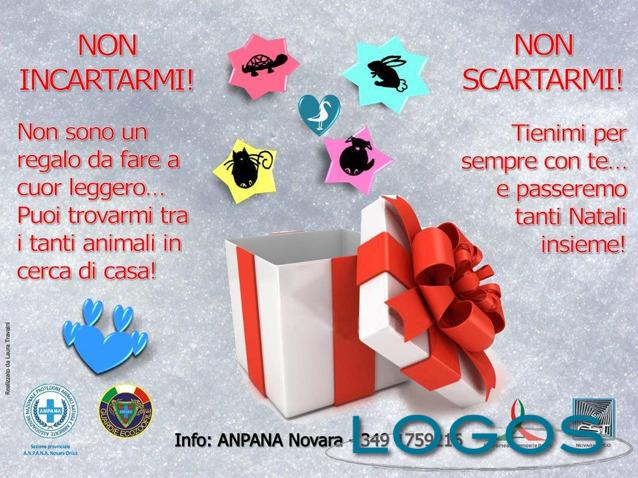 Attualità