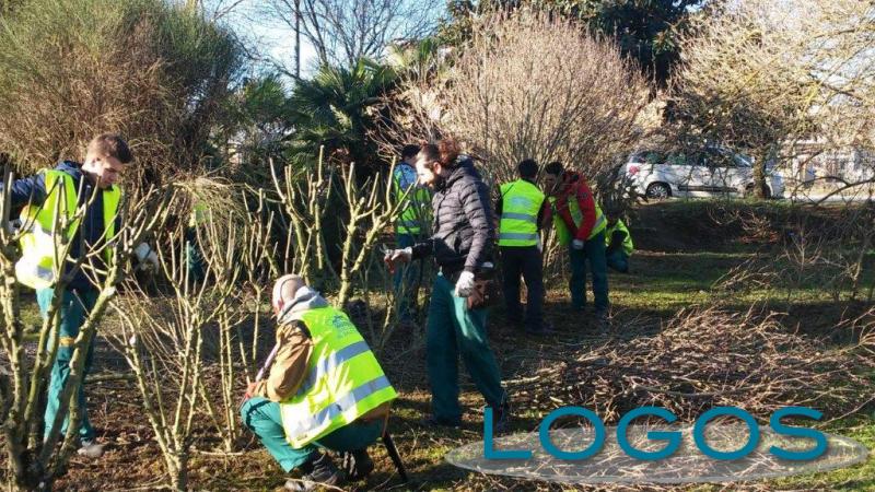 Magenta - I corsisti della scuola agraria del Parco di Monza in città