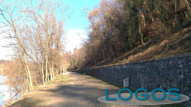 Territorio - Interventi boschivi al Panperduto Territorio - Interventi boschivi al Panperduto