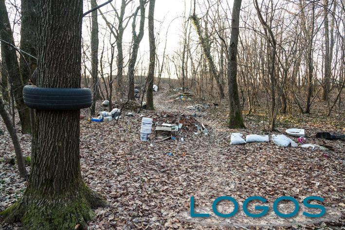 Territorio - Rifiuti abbandonati nei nostri boschi (Foto Eliuz Photography)