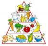 Attualità - Piramide alimentare (Foto internet)