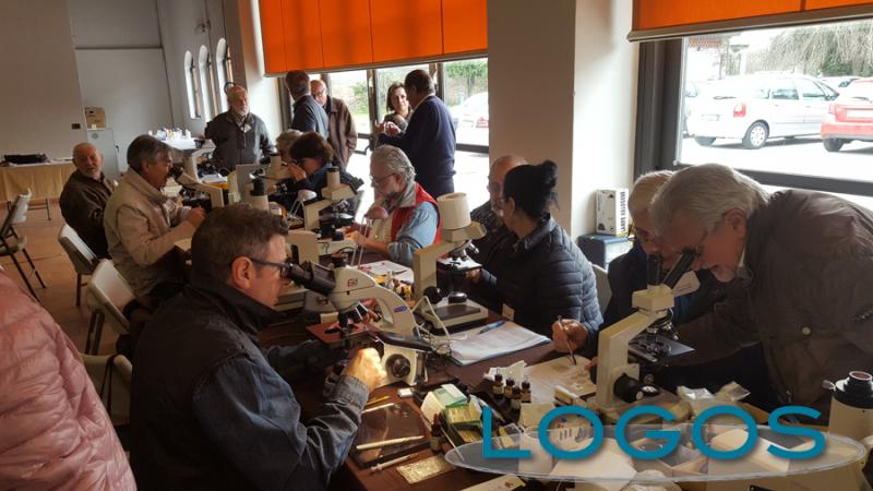 Cuggiono - Incontro Gruppo Micologico 2018.1