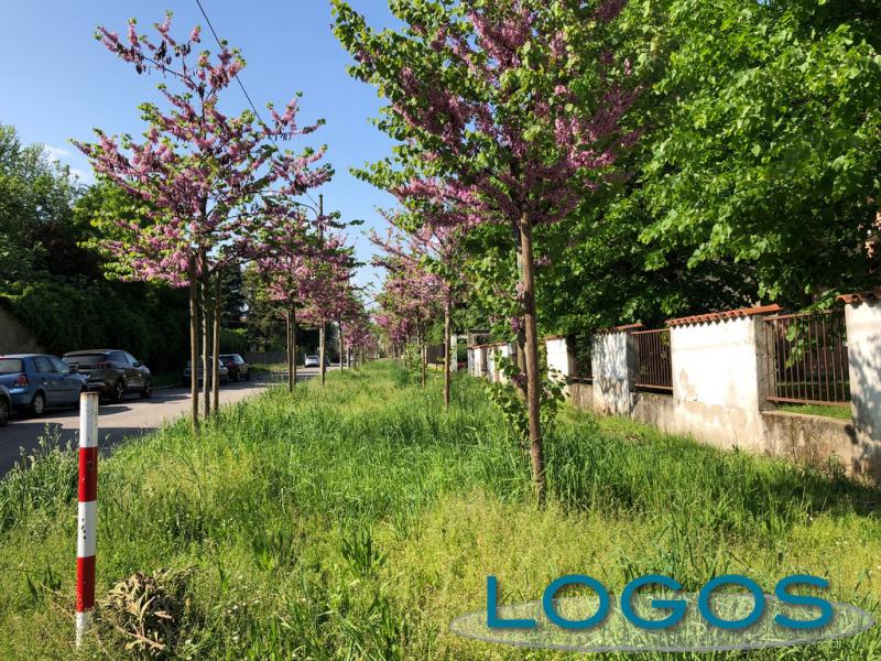 Cuggiono - Niente appalto alla 'Primavera': 4 dipendenti licenziati 