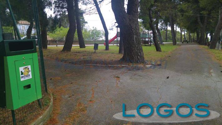 Magnago - I contenitori per le deiezioni canine (Foto internet)