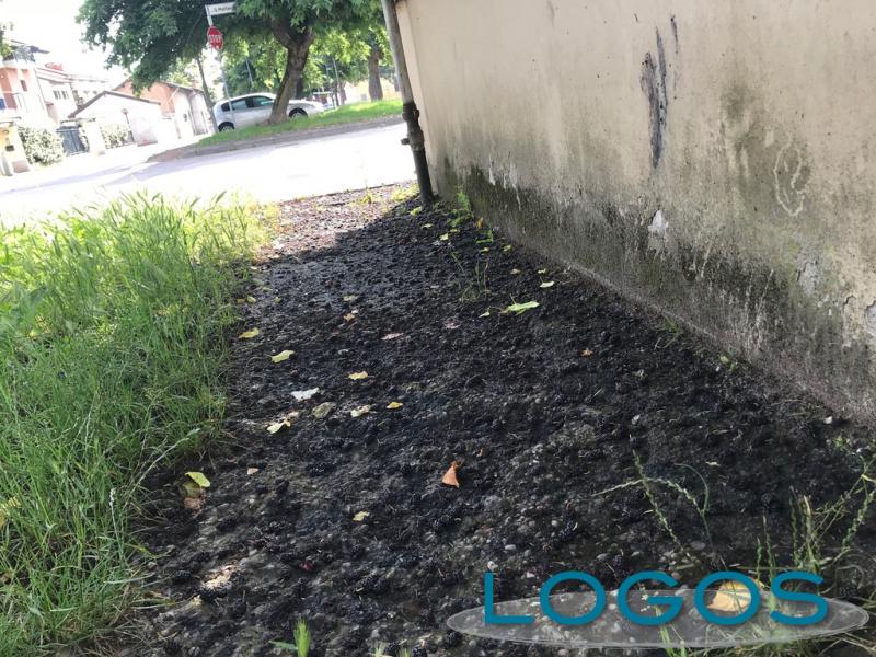 Cuggiono - Il marciapiede davanti alle case: difficile passarci sopra 