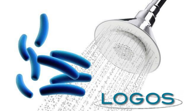 Generica - Legionella (da internet) Generica - Legionella (da internet)