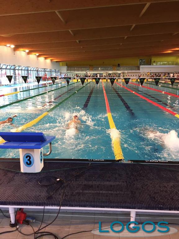 Cuggiono / Sport - Una manifestazione di nuoto dell'Asd Ticino 